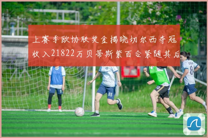 上赛季欧协联奖金揭晓切尔西夺冠收入21822万贝蒂斯紫百合紧随其后