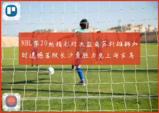 NBL第20轮精彩对决盐南苏科雄狮加时遗憾落败长沙勇胜力克上海玄鸟