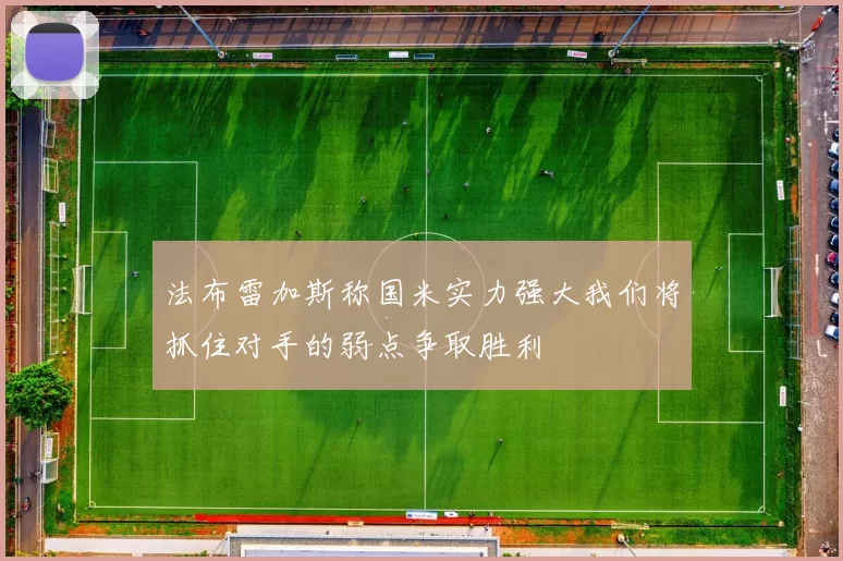 法布雷加斯称国米实力强大我们将抓住对手的弱点争取胜利