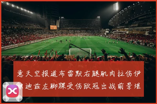 意天空报道布雷默右腿肌肉拉伤伊尔迪兹左脚踝受伤欧冠出战前景堪忧